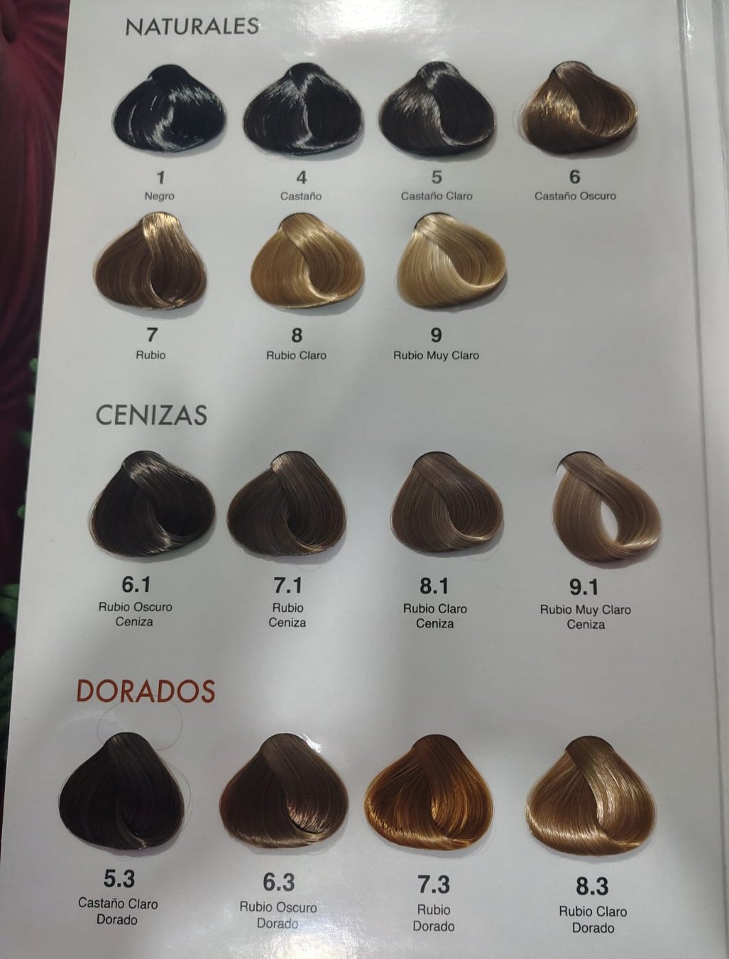 Tintura sistem³ sin amoniaco - Imagen 2