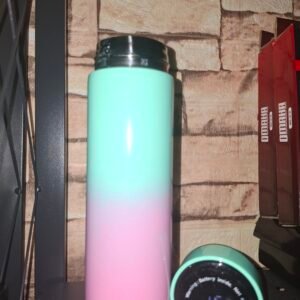 Vaso térmico con temperatura degrade 500ml